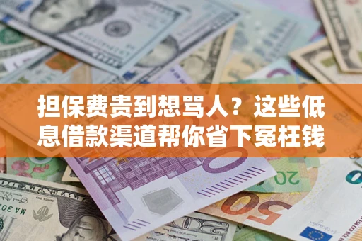 济南担保费贵到想骂人？这些低息借款渠道帮你省下冤枉钱