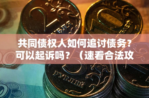 济南共同债权人如何追讨债务？可以起诉吗？（速看合法攻略）